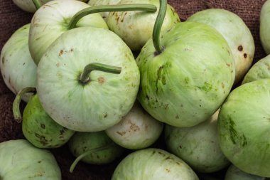 Çiftlikten taze organik su kabağı farklı açılardan yaklaşır.