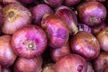 Farklı açılardan taze organik soğan.