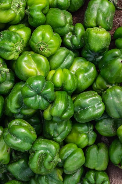 Fresh Organic Green Capsicum Farm Close Different Angle — Stockfoto