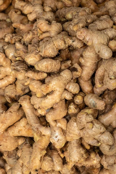 Fresh Organic Ginger Farm Close Different Angle — 스톡 사진