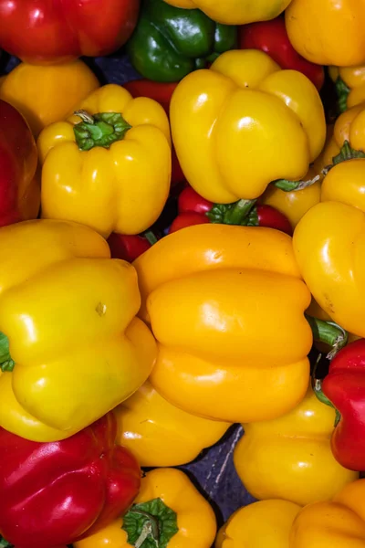 Fresh Organic Colorful Capsicum Farm Close Different Angle Stock Photo