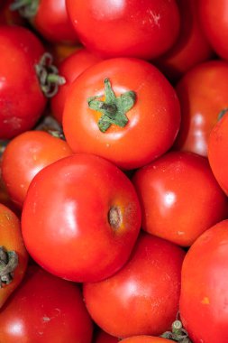 Çiftlikten taze organik domatesler farklı açılardan yaklaşıyorlar.