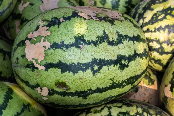 fresh organic watermelons from farm close up from different angle