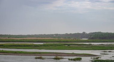 flooded river flat with cloudy sky at morning form flat angle image is taken at Sindhrot Check Dam gujrat india on July 10 2022.