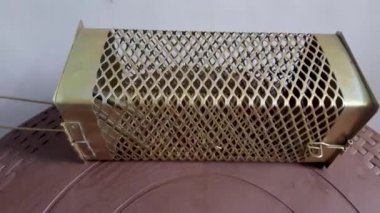 Fare kafesine yakalanmış, gündüz farklı açılardan.