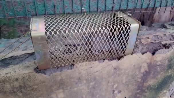 Patkány Fogott Patkány Ketrec Csapda Különböző Szögből Nappal — Stock videók