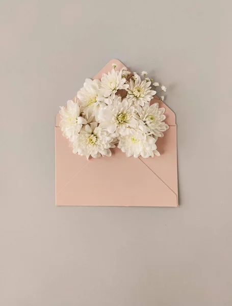 Відкритий рожевий конверт з композиціями з квітів хризантем на сірому фоні, вид зверху. Концепція святкового привітання Ліцензійні Стокові Зображення