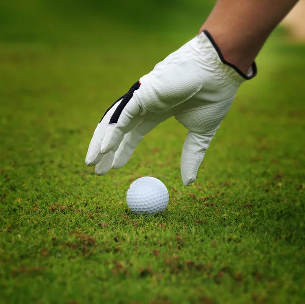 Pelota de golf — Foto de Stock