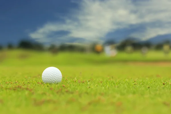 Palla da golf — Foto Stock