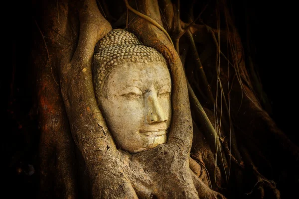 Boeddha hoofd — Stockfoto