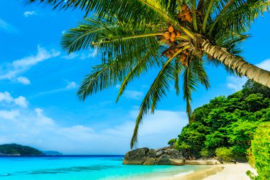 plaj similan Adaları 