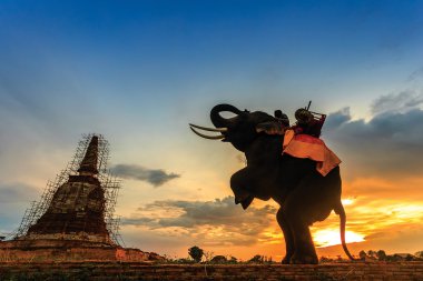 Elephants and stupa  clipart