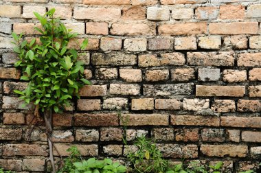 eski tuğla duvar arkaplanı