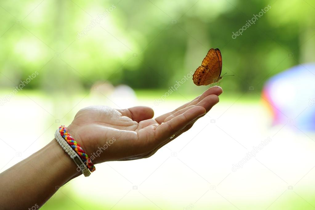 Yellow butterfly on human hand.