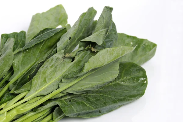 Fresh kale — Stock Photo, Image