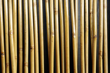 Bambu doku