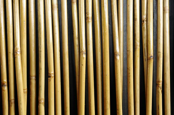 Bambu doku