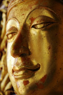 Buda'nın yüzü