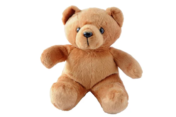 Teddy bear — Stock Photo, Image