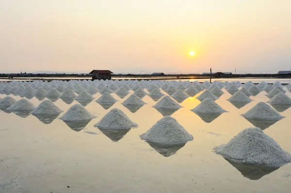 In a row Heap of sea salt — Stock Photo, Image