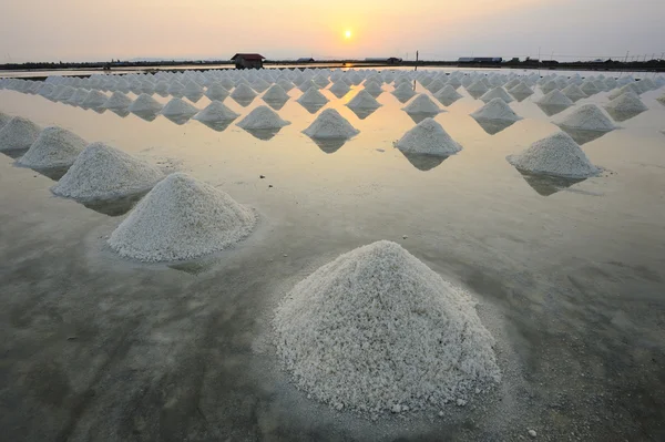 Salt heap — Stock Photo, Image