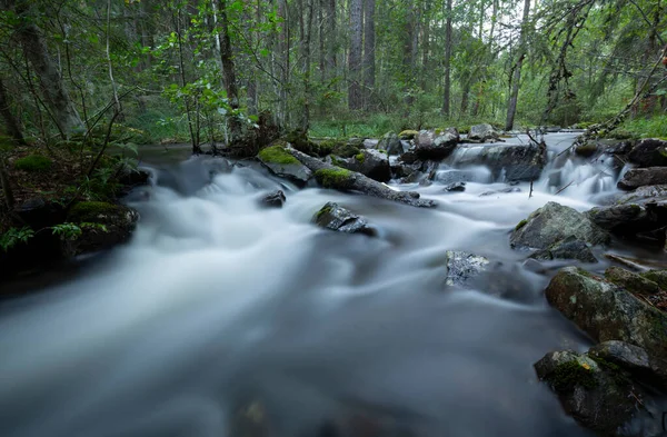 Wild Stream Forest Dalarna Sweden — Stock fotografie