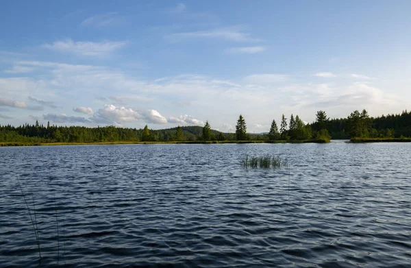 Lago Suecia Fotografiado Durante Día — Foto de Stock