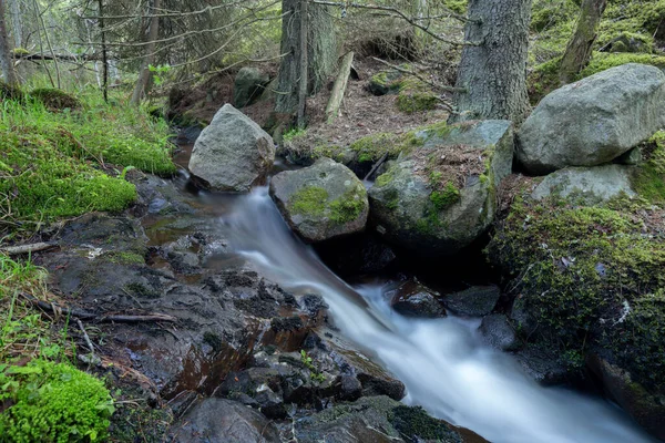 Malý Potůček Přírodním Lese Fotografovaný Dlouhou Expozicí Lokalita Les Švédsku — Stock fotografie