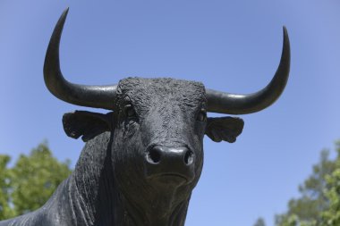 Bull in Ronda, Malaga.Spain clipart
