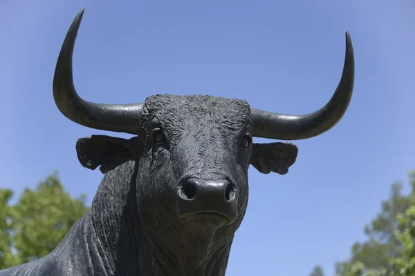 Toro en Málaga, España — Foto de Stock