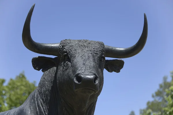 Toro a Ronda, Malaga.Spagna — Foto Stock