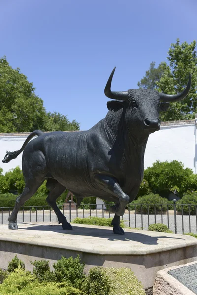 Toro de bronce — Foto de Stock