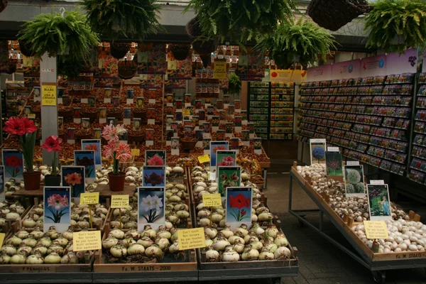 Bloemenmarkt van Amsterdam — Stockfoto