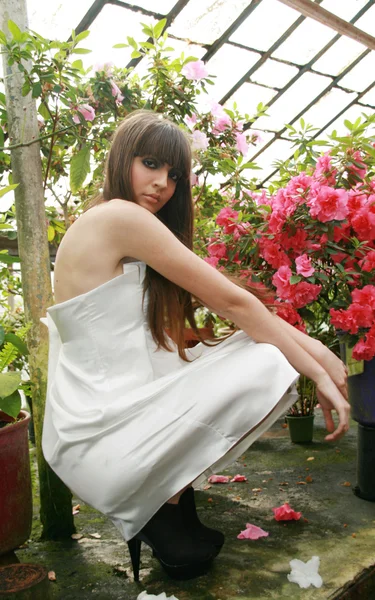 Brunette woman  in azalea garden. — Stock Photo, Image