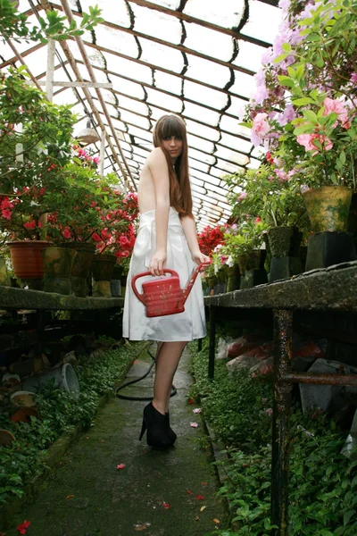 Brünette Frau im Azaleen-Garten. — Stockfoto