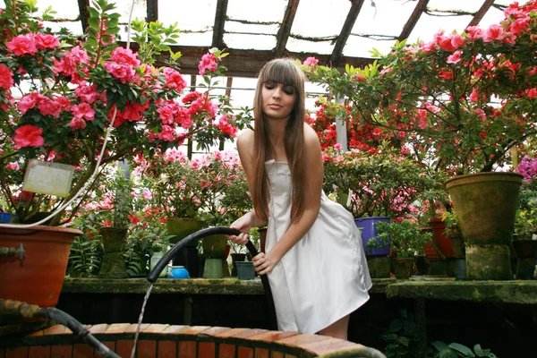 Femme brune dans le jardin azalea . Image En Vente