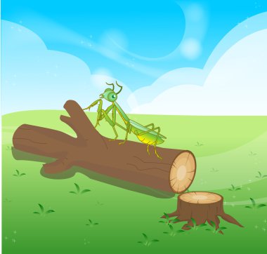 ahşap günlükleri izole vektör nesneleri