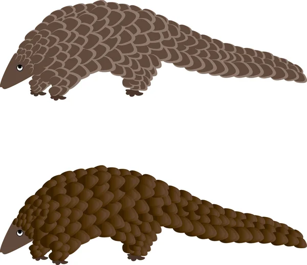 Pangolin ou tamanduá escamoso — Vetor de Stock