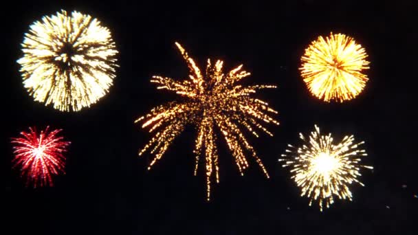 Colorful Sparkling Fireworks Festive Background Party Wedding Overlay — ストック動画