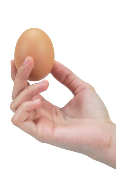 Weibliche Hände bringen Ei isoliert auf weißem Hintergrund — Stockfoto