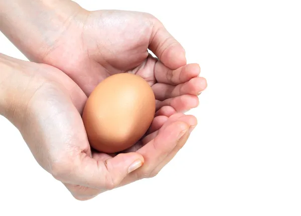 Женские руки приносят яйцо изолированы на белом фоне — стоковое фото