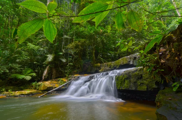 Batu Tangga Waterfall in Pahang, Malaysia — Stock Photo, Image