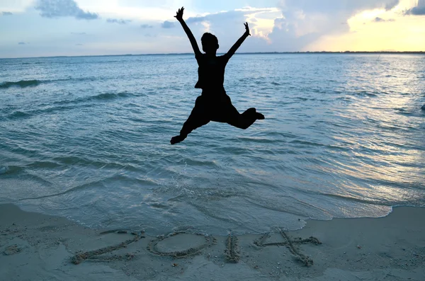 Silhueta de menino feliz celebrando o próximo ano novo 2014 — Fotografia de Stock