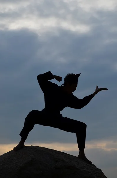 Silhouette eines kleinen Jungen bei der Durchführung eines Pencak Silat, traditionelle malaiische Disziplin Kampfkunst — Stockfoto