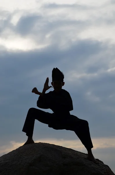 Silhouette eines kleinen Jungen bei der Durchführung eines Pencak Silat, traditionelle malaiische Disziplin Kampfkunst — Stockfoto