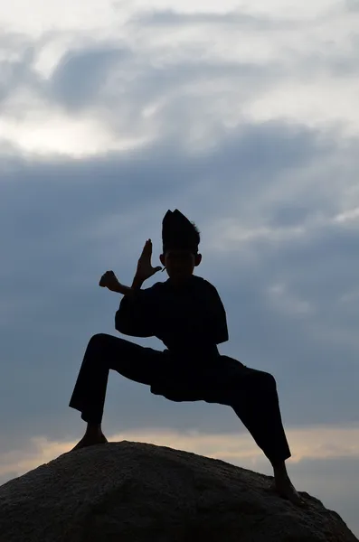 Pencak のシラット、武道マレーの伝統的な規律を実行する若い男の子のシルエット ロイヤリティフリーのストック写真