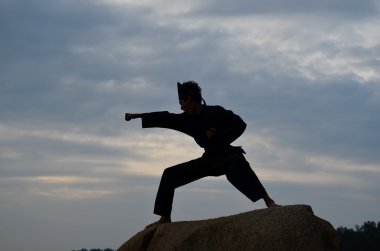performans pencak silat, malay geleneksel disiplin savaş sanatı bir genç çocuk silüeti