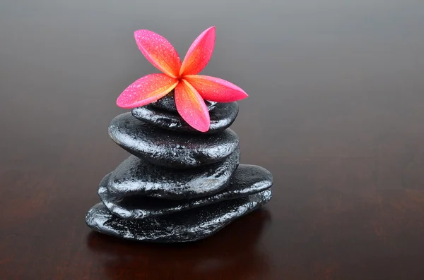 Hermosas flores de frangipani y piedras de spa — Foto de Stock