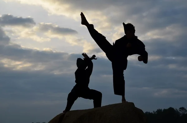 Pencak silat、マレーの伝統的な規律格闘技のスパーリング 2 つの若い男の子のシルエット ストックフォト