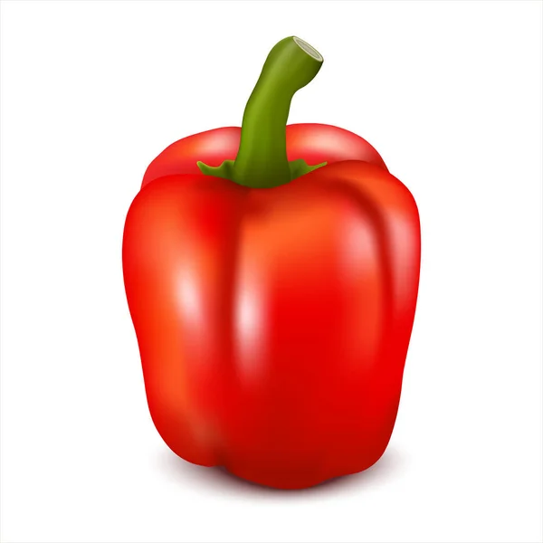 Czerwony Papryka Warzywa Izolowane Białym Tle Słodka Papryka Zdrowe Jedzenie — Wektor stockowy